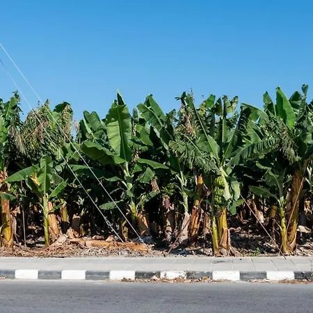 Katerina, Private Pool, Garden & 3 Ensuite Bedrooms * Péjia