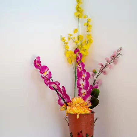 Katerina, Private Pool, Garden & 3 Ensuite Bedrooms Peyia